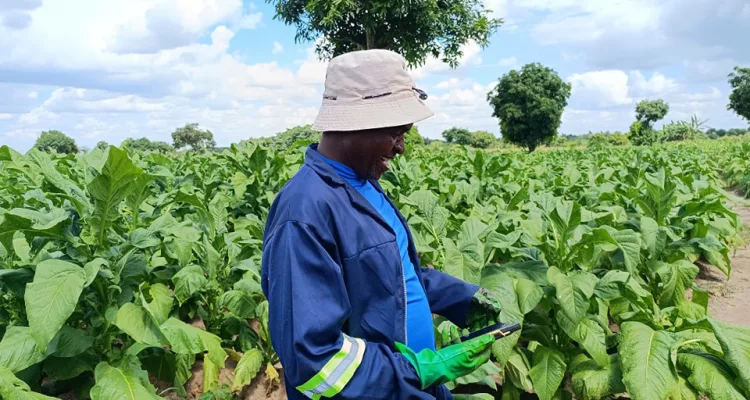 In order to increase agricultural productivity, Government through the Ministry of Finance says government will increase funding for the farm inputs loan facilitated by National Economic Empowerment Fund Limited (NEEF).