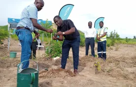 Companies encouraged to join tree planting campaign