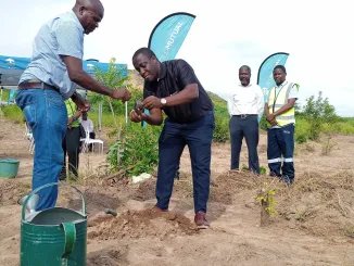 Companies encouraged to join tree planting campaign