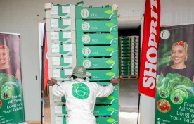 Shoprite Group and GGL bring economic growth and employment to Malawi