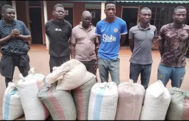 six men arrested over theft of various items in Lilongwe