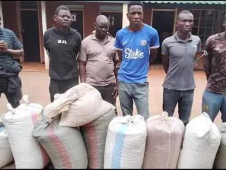 six men arrested over theft of various items in Lilongwe