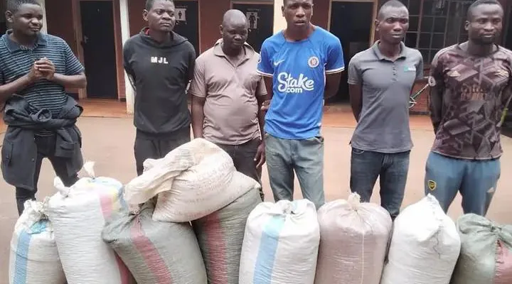 six men arrested over theft of various items in Lilongwe