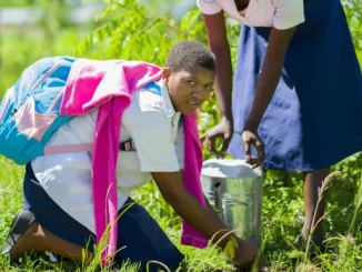 Pirimiti CDSS students plant 800 trees in current Forestry Season