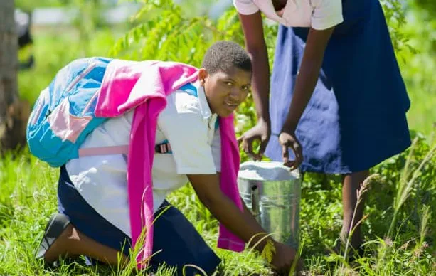 Pirimiti CDSS students plant 800 trees in current Forestry Season