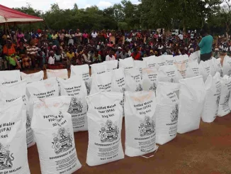 Maize flour which Malawi Government with support from WFP is giving to Malawians