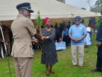 Deputy Commissioner handed over tree seedlings to the Deputy Minister