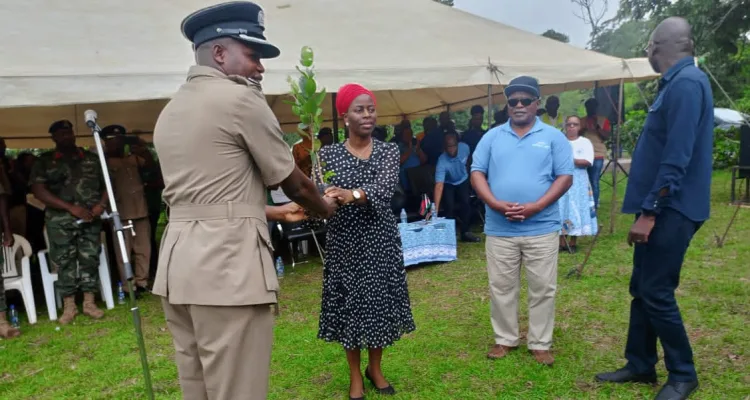 Deputy Commissioner handed over tree seedlings to the Deputy Minister