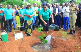 Plant more trees to conserve water sources – Chapota