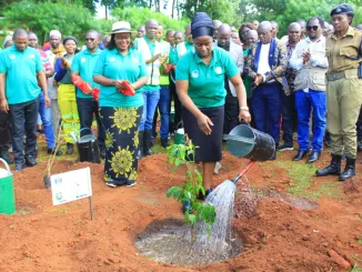 Plant more trees to conserve water sources – Chapota