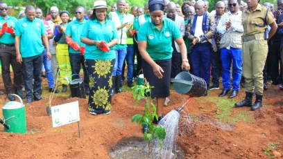 Plant more trees to conserve water sources – Chapota