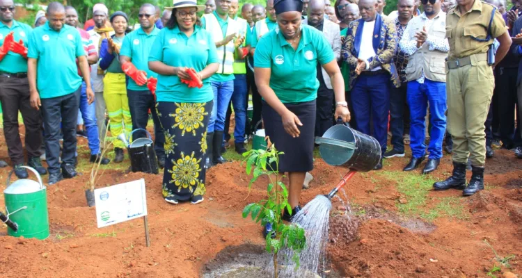 Plant more trees to conserve water sources – Chapota