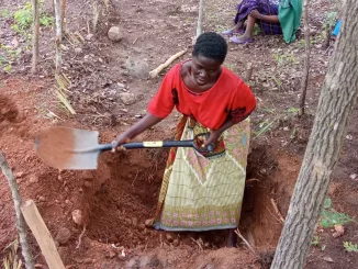 Saving Bua River from jaws of destruction