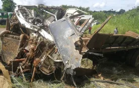 A truck registration number SA 6421 which carried maize flour for distribution under the Lean Season Food Insecurity Response Programme on Friday evening killed five children who were under a tree at Chowe Village, Traditional Authority Chowe in Mangochi district after the driver lost control of the vehicle.
