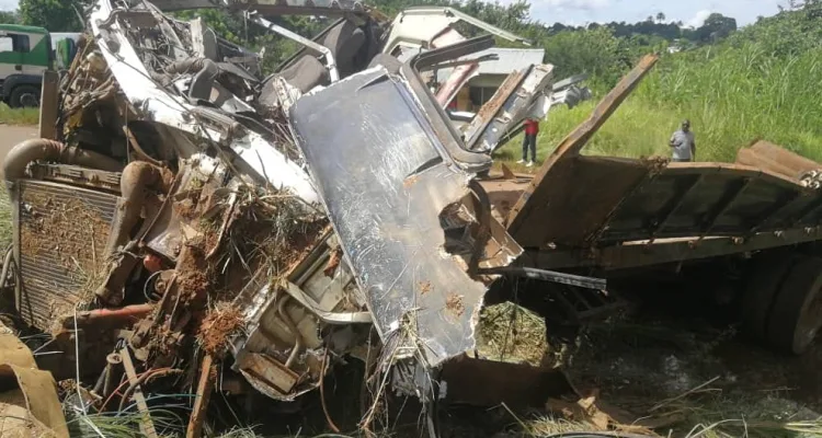 A truck registration number SA 6421 which carried maize flour for distribution under the Lean Season Food Insecurity Response Programme on Friday evening killed five children who were under a tree at Chowe Village, Traditional Authority Chowe in Mangochi district after the driver lost control of the vehicle.