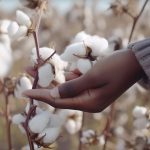 Solidaridad's Pathways to Prosperity Programme Spearheads Equality Efforts in Malawi's Agricultural Sector- Malawi24