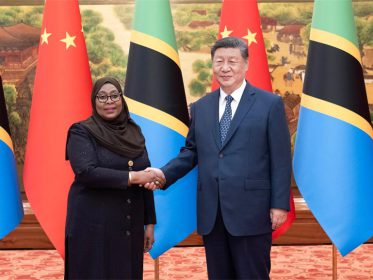 Xi meets Tanzanian president