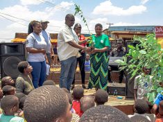 Tree planting