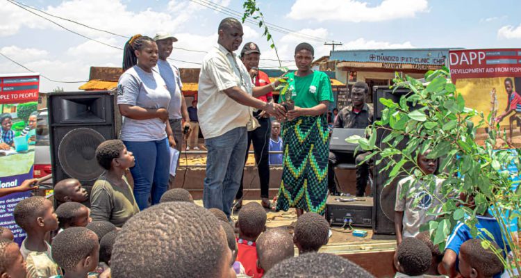 Tree planting