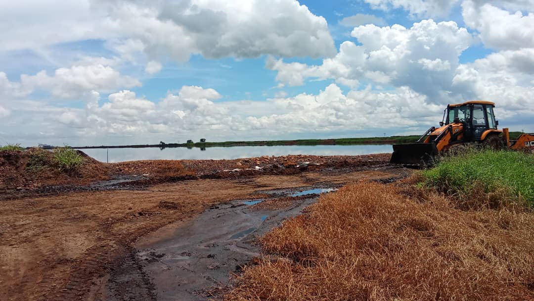 Life under toxic cloud: Chikwawa communities demand end to Press Cane pollution