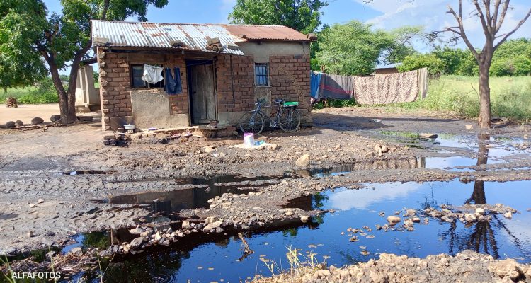 PressCane Company -Chikwawa