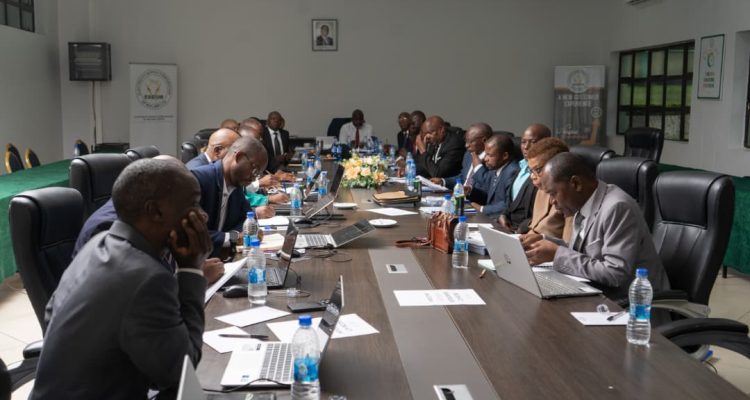 Electricity Supply Corporation of Malawi (ESCOM)