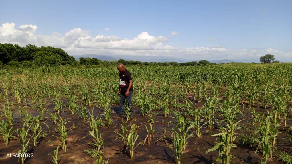 Enough is enough: Chikwawa villagers plan vigils over PressCane pollution