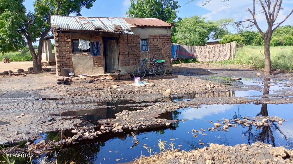 PressCane Limited Pollution