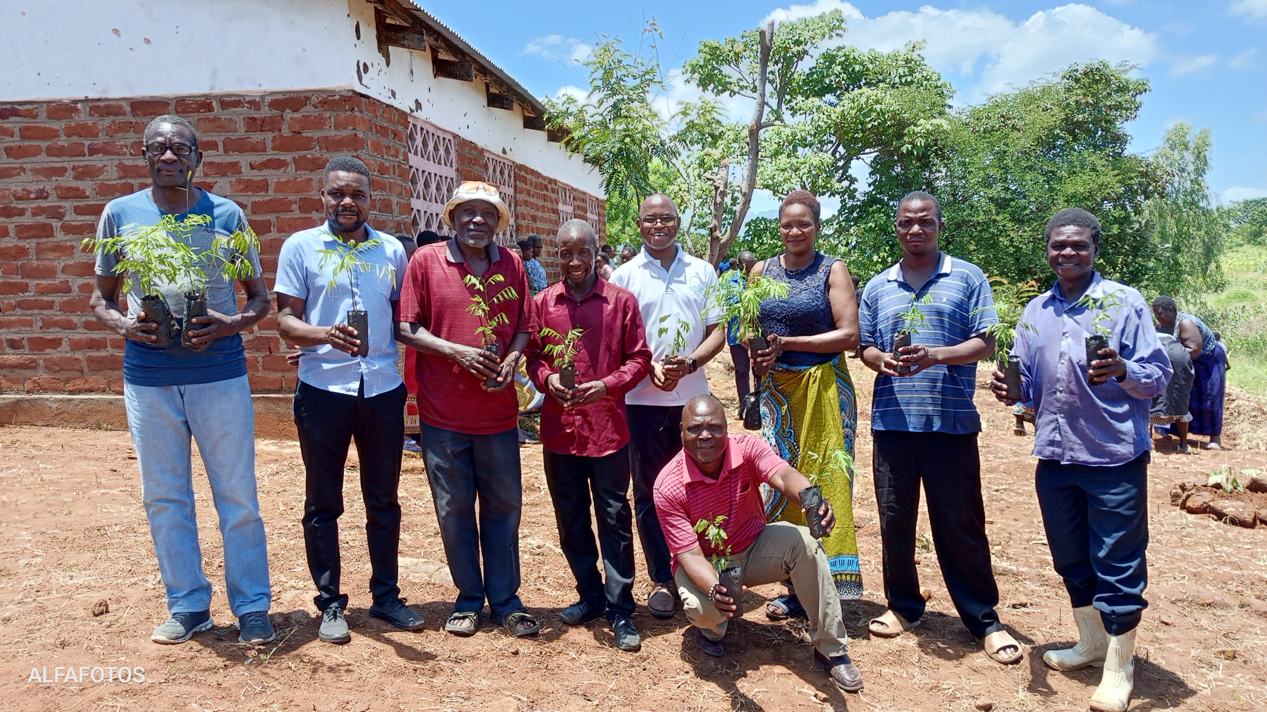 Rethinking energy, restoring forests: TA Kapeni’s move towards sustainable living