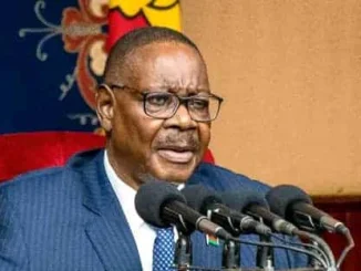 Mutharika speaking at a conference held at Amaryllis Hotel in Malawi.