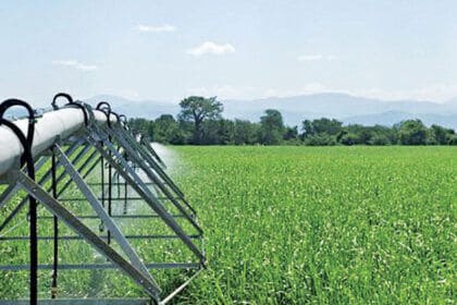 K36 billion greenbelt scandal