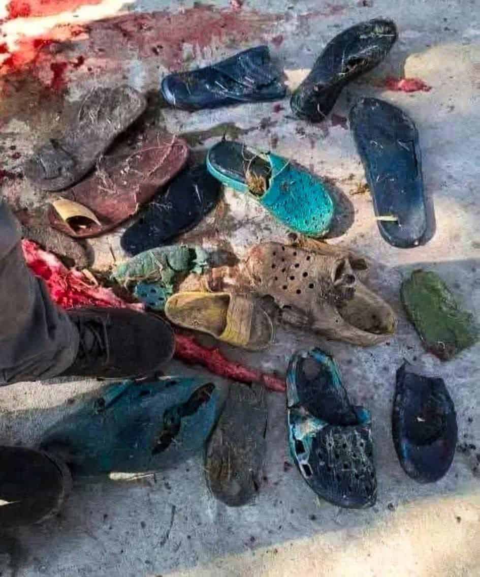 Shoes found inside crocodile after attack on South African hotel owner.