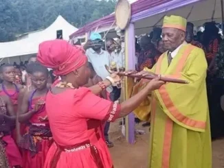 Dispute erupts over elevation of TA Andrew in Machinjiri- Malawi24
