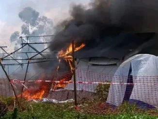 Ebola Outbreak Drc Malawi24