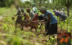 Global food shock squeezing Malawi farmers, says AGRA report- Malawi24