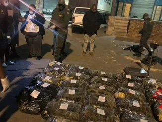 Part of the methaqualone consignment seized from a Malawi-registered truck at Beitbridge Border Post