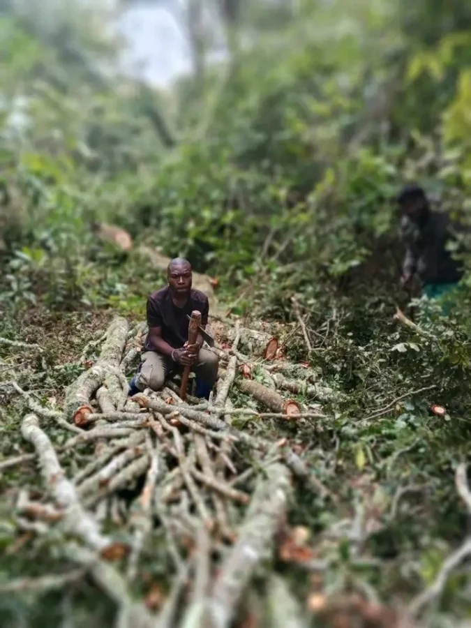Kaningina Forest Suspect- Malawi24