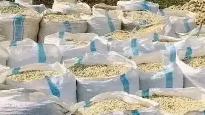 Maize - Malawi24