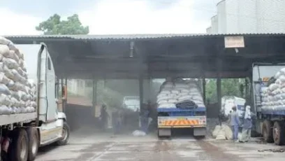 Maize- Malawi24