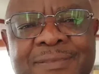 Medf Chief Executive Officer Kayisi Sadala- Malawi24