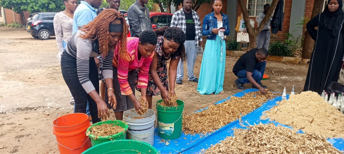 Youths In Business 1- Malawi24