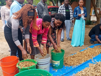 Youths In Business 1- Malawi24