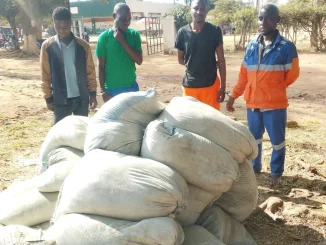 Balaka Cement Theft- Malawi24