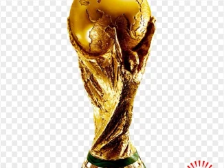 Fifa World Cup- Malawi24