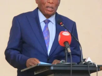 Finance Minister Mwanamvekha- Malawi24