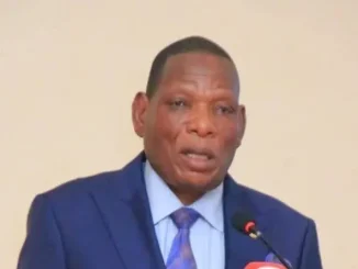 Finance Minister Mwanamvekha- Malawi24