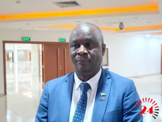 Principal Environmental Officer Jarvis Mwenechanya