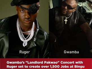 Gwamba Ruger concert