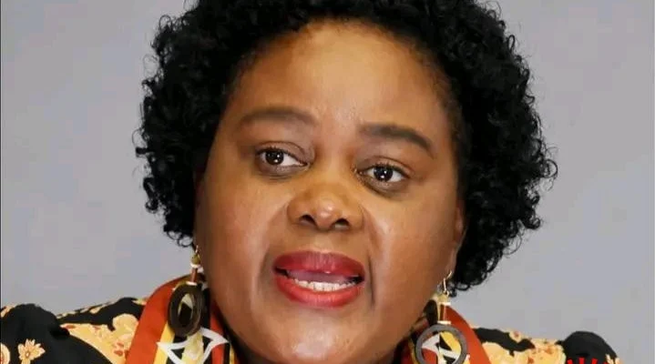 Minister of Justice and Constitutional Development, Mmamoloko Kubayi