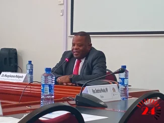 Mwayiwawo Polepole Chilima Inquiry- Malawi24